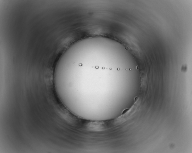 X0000102510179200808221826