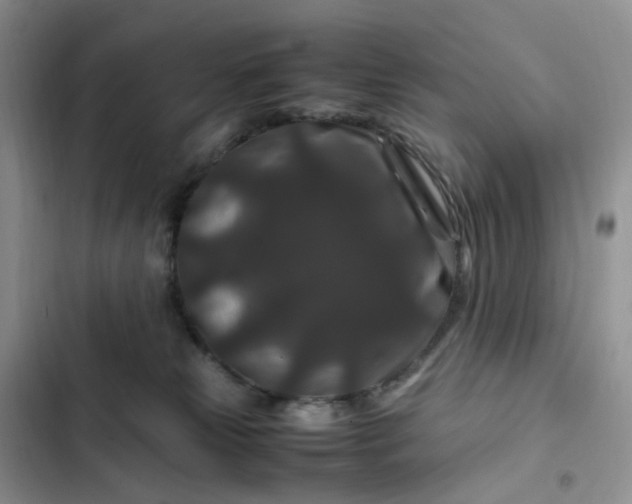 X0000102510181200808221826