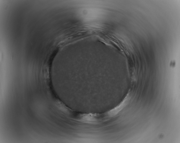 X0000102510182200808221826