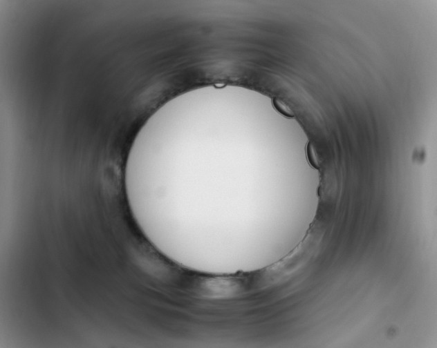 X0000102510183200808221826