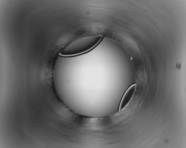 X0000102510184200808221826