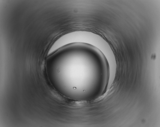 X0000102510188200808221826