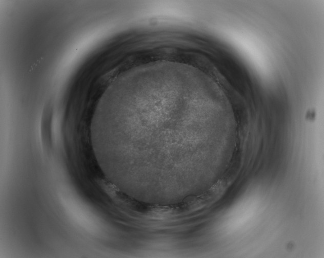 X0000102510189200808221826
