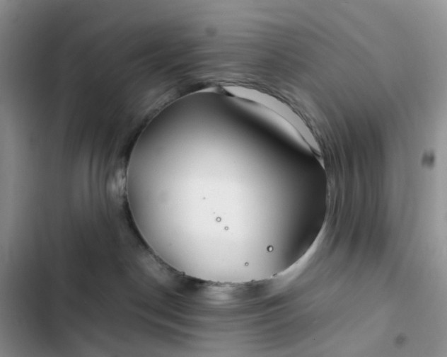 X0000102510190200808221826