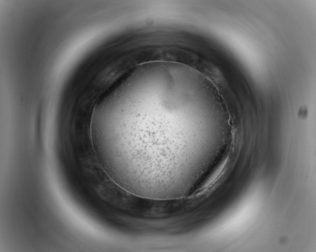X0000102510191200808221826