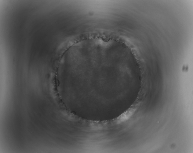 X0000102510192200808221826