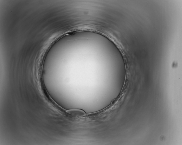 X0000102510193200808221825