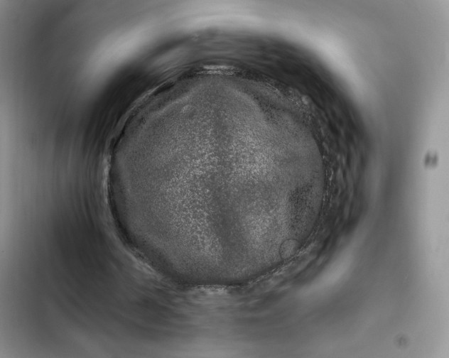 X0000102510194200808221825