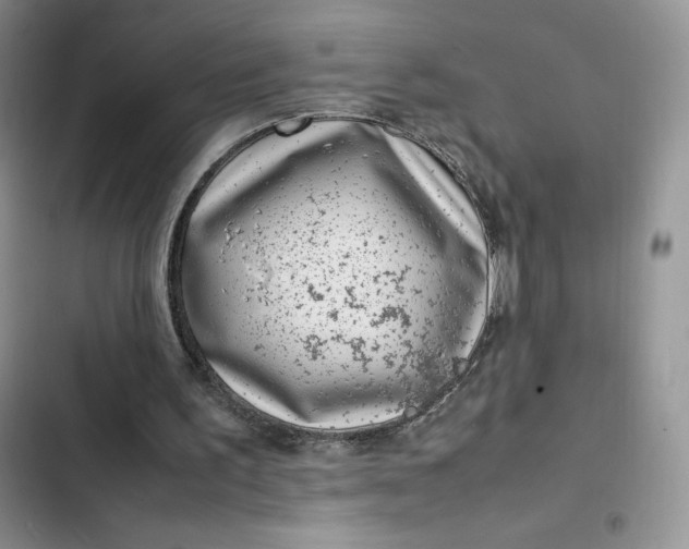 X0000102510195200808221825