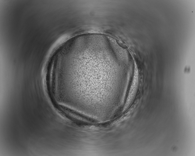 X0000102510197200808221825