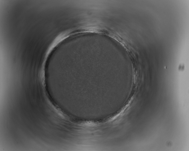 X0000102510198200808221825