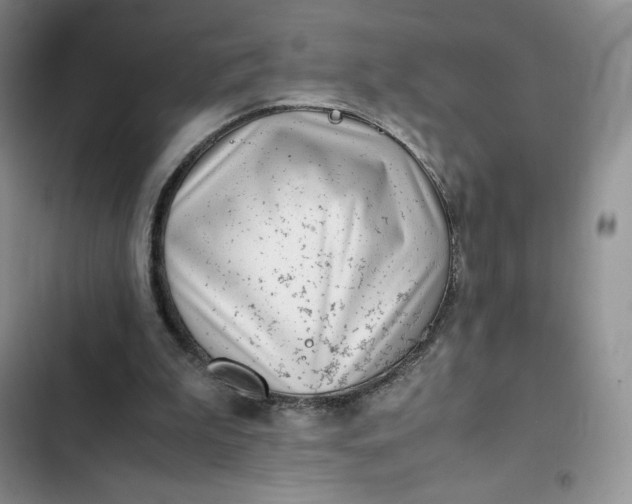 X0000102510199200808221825