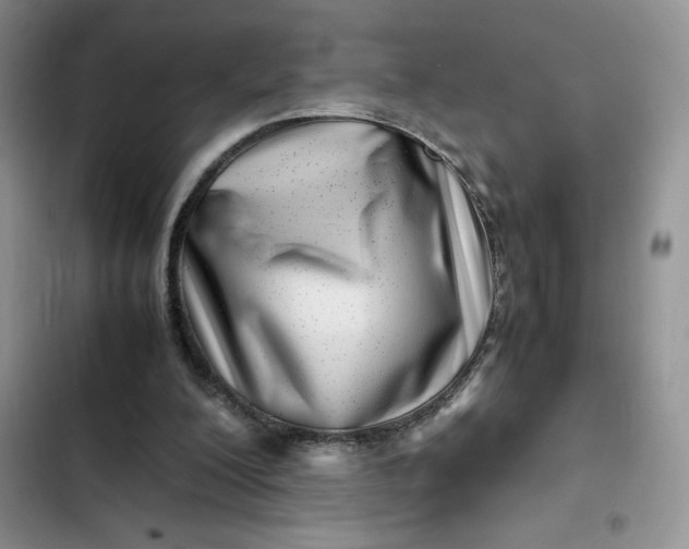 X0000102510200200808221825