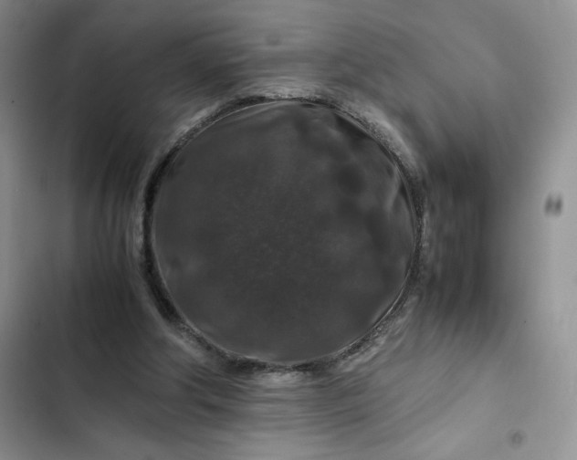 X0000102510202200808221825