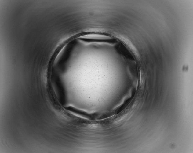 X0000102510204200808221825
