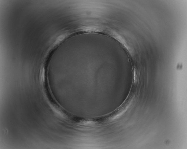 X0000102510205200808221825