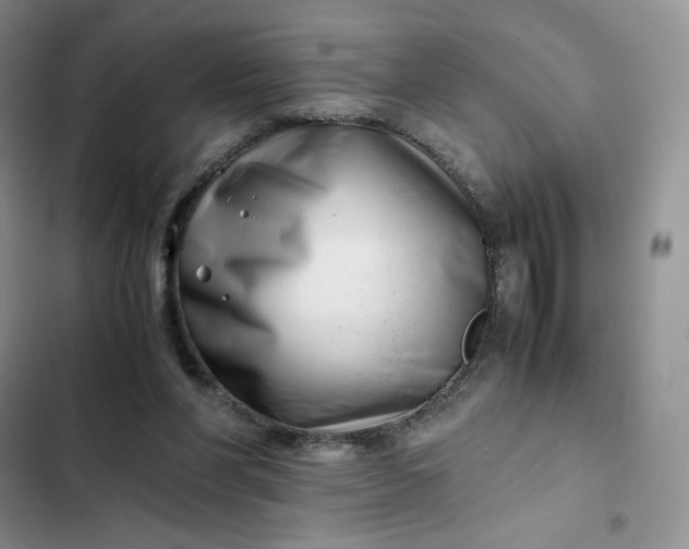 X0000102510206200808221825