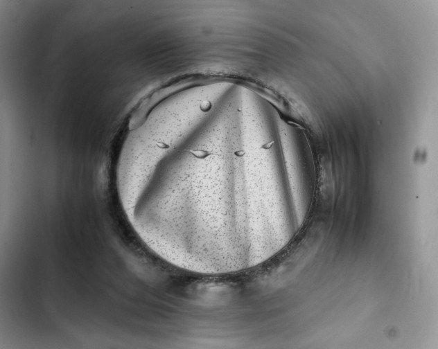 X0000102510208200808221825