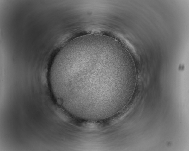 X0000102510209200808221825