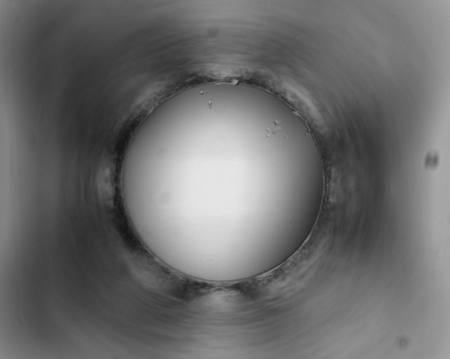 X0000102510210200808221825