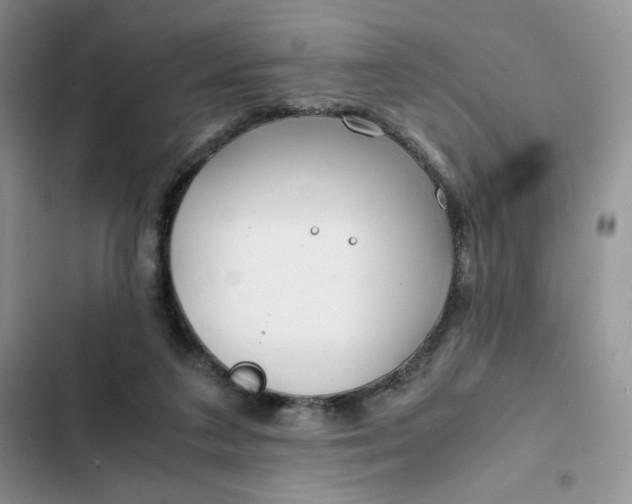 X0000102510211200808221825