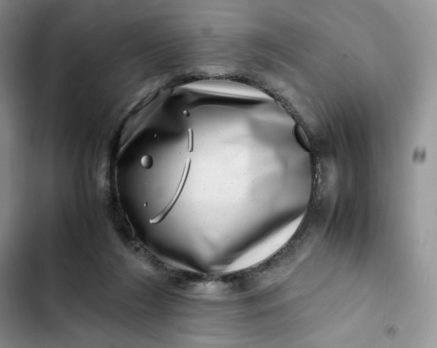 X0000102510212200808221825