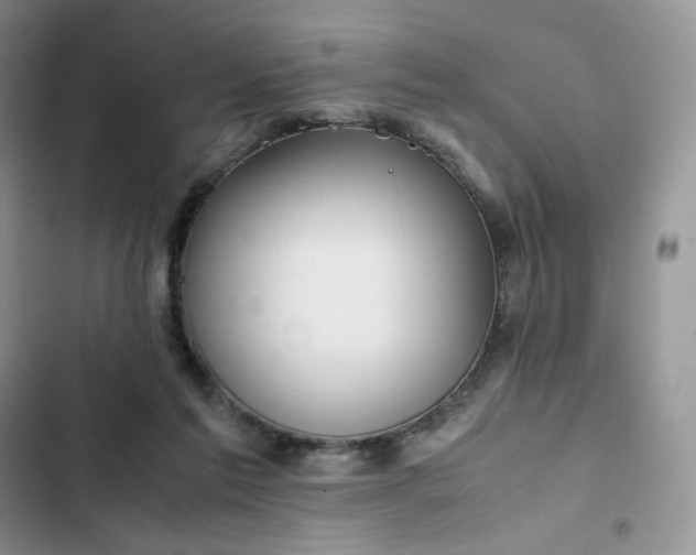 X0000102510213200808221825