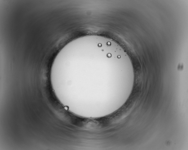 X0000102510215200808221825