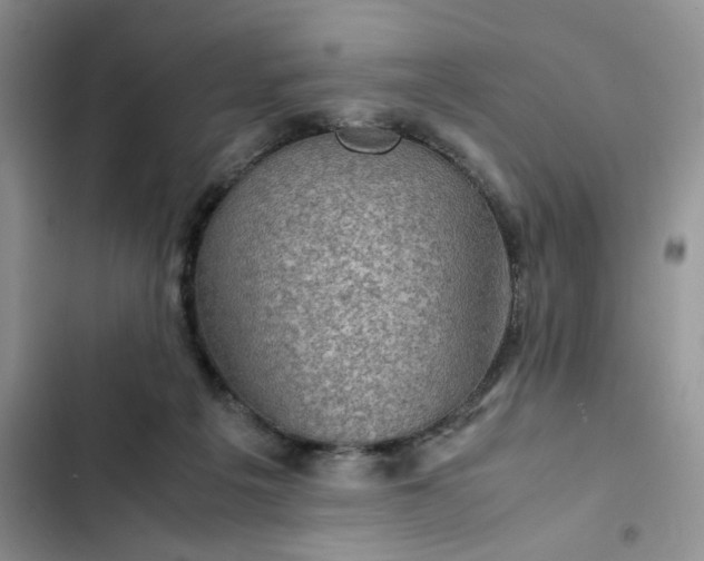 X0000102510217200808221825