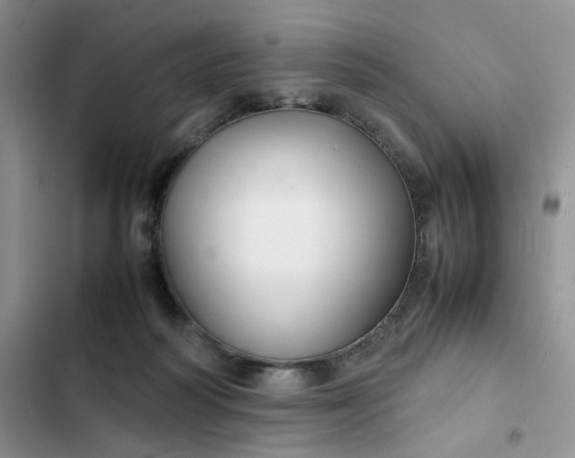 X0000102510218200808221825