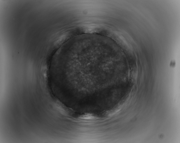 X0000102510219200808221825