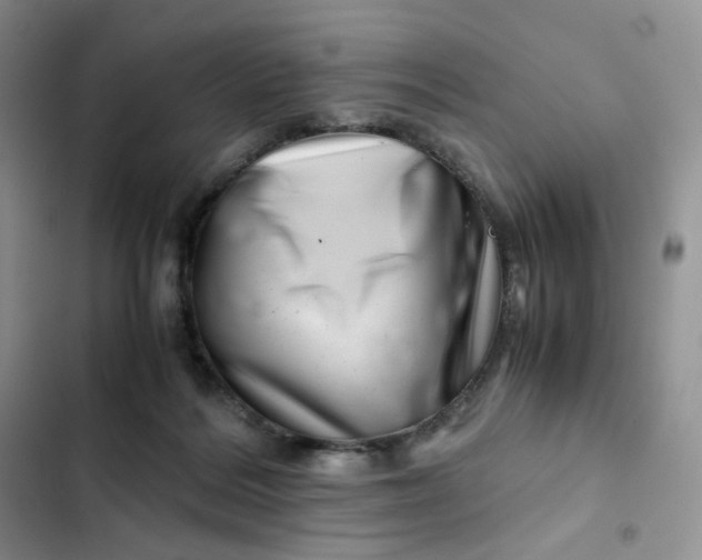 X0000102510220200808221825