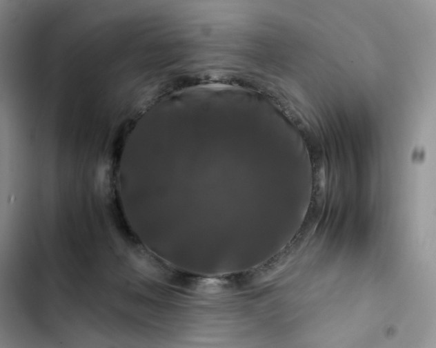X0000102510222200808221825
