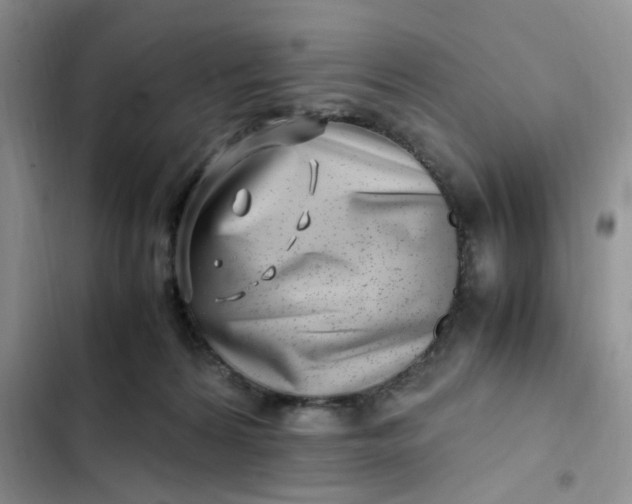 X0000102510224200808221825