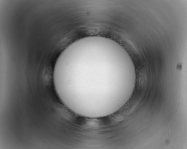 X0000102510226200808221825