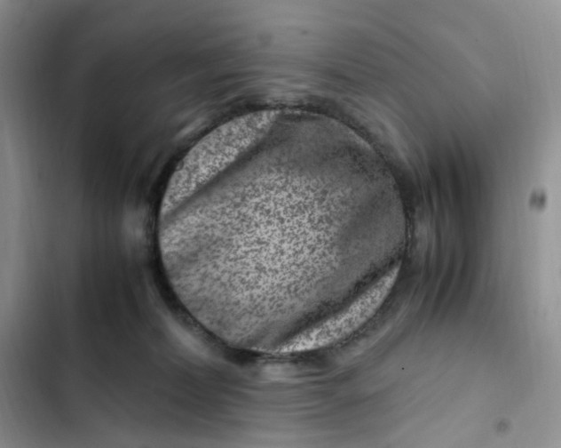 X0000102510228200808221825