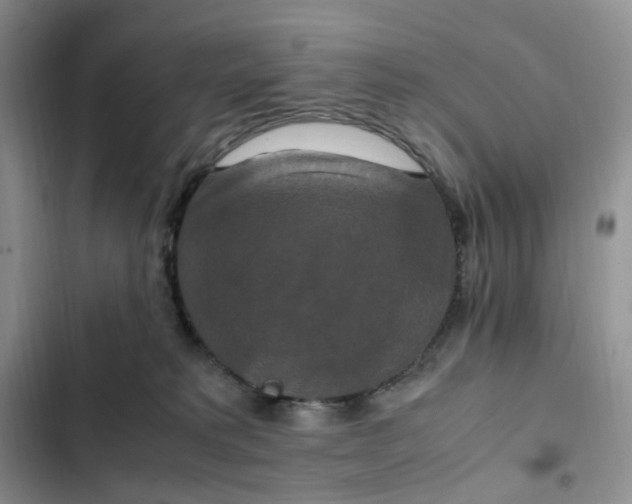 X0000102510229200808221825