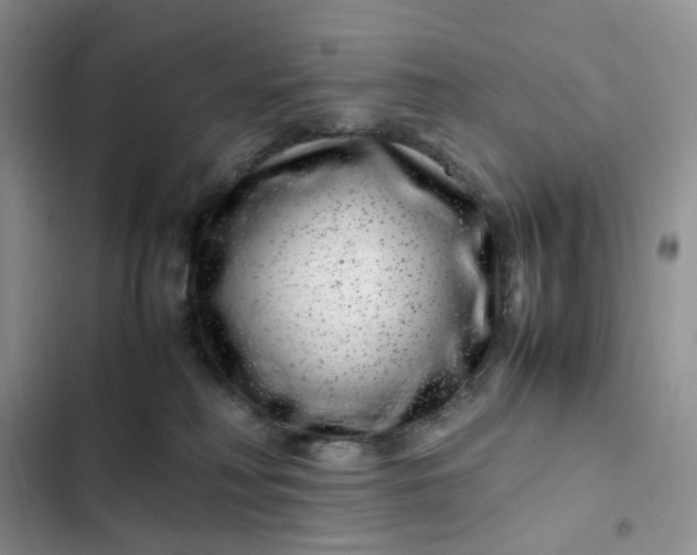 X0000102510230200808221825