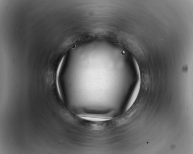 X0000102510232200808221825