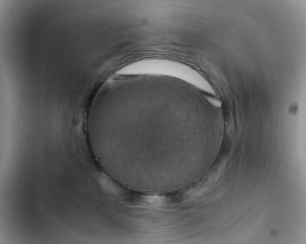 X0000102510233200808221825