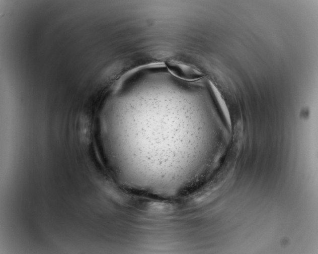 X0000102510234200808221825