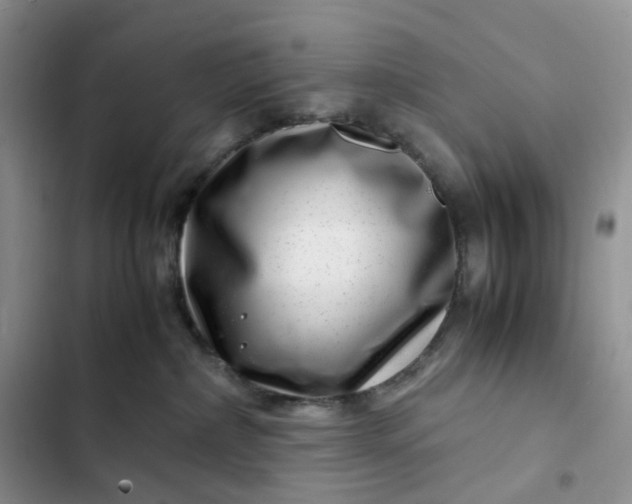 X0000102510236200808221825
