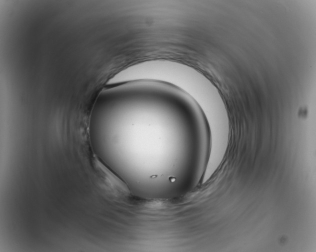 X0000102510237200808221825