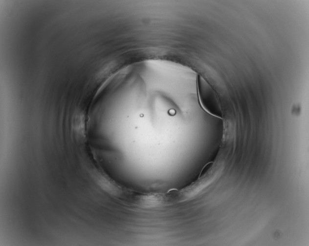X0000102510238200808221825