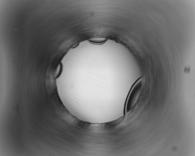 X0000102510240200808221825