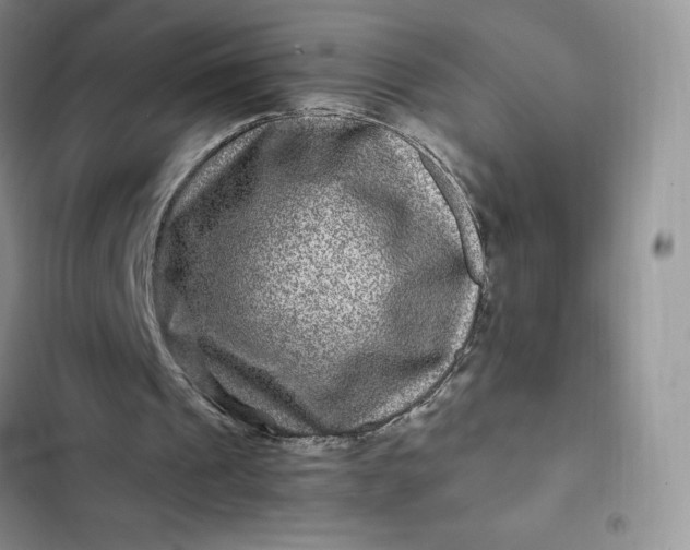 X0000102510241200808221824