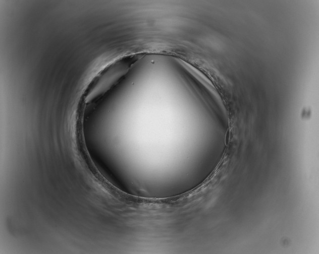 X0000102510242200808221824
