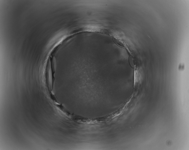 X0000102510243200808221824