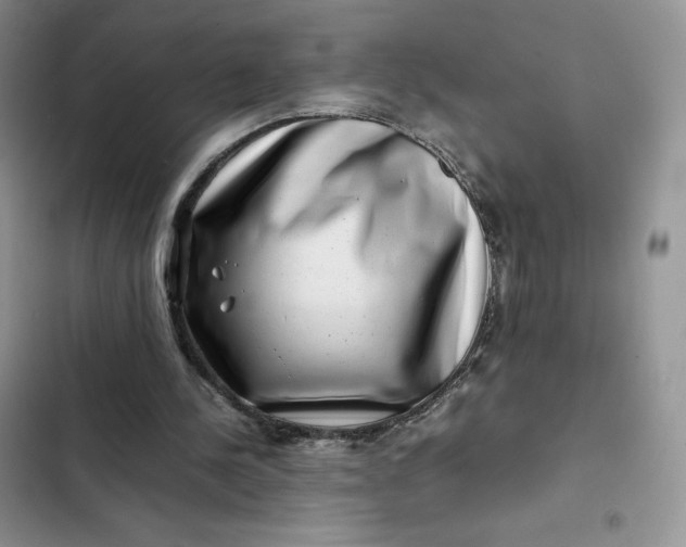 X0000102510244200808221824