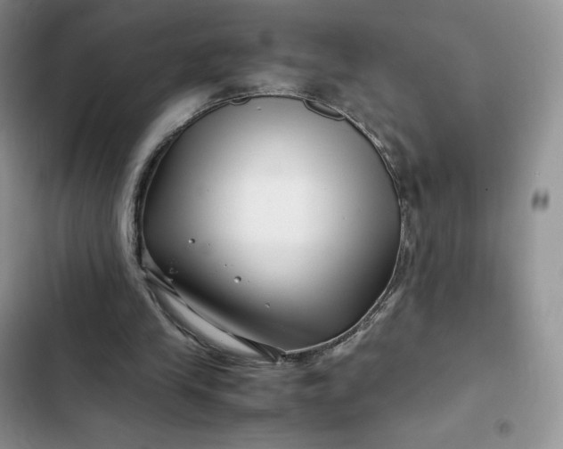 X0000102510245200808221824